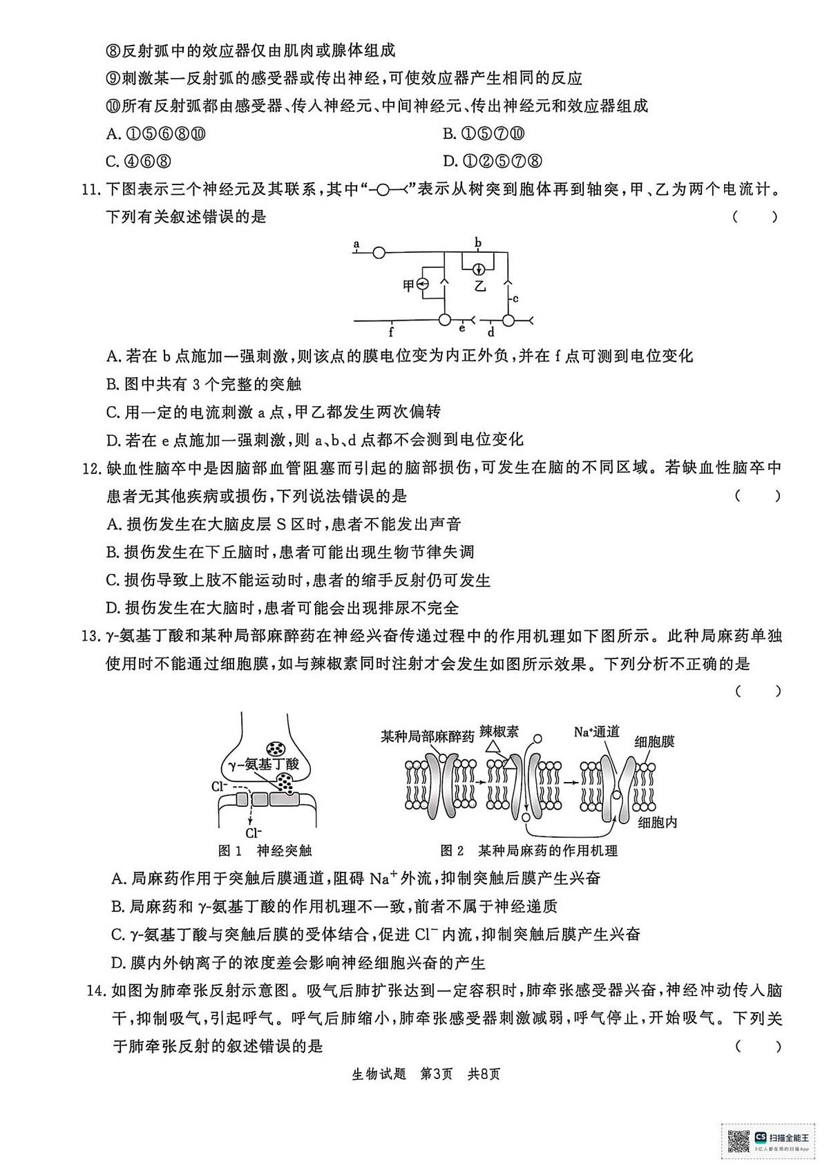山东省菏泽市鄄城县第一中学2025-2026学年高二上学期10月月考生物试题（扫描版，有解析）第3页