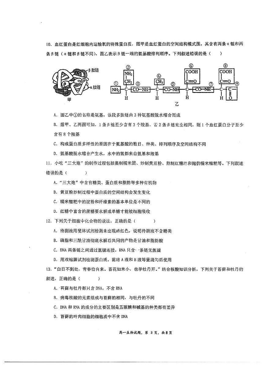 江苏省泰州中学2025-2026学年高一上学期10月月考生物试题含答案第3页