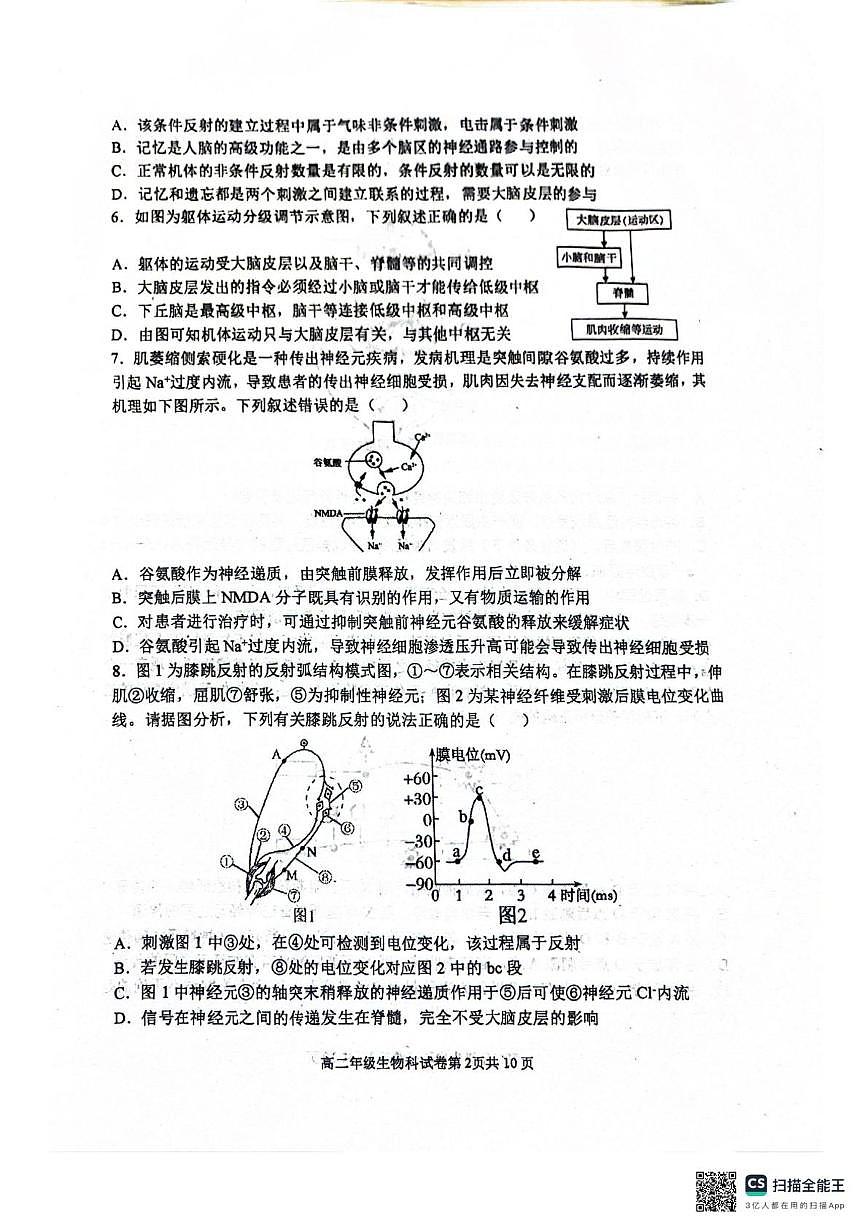 辽宁省大连市第八中学2025-2026学年高二上学期10月月考生物试题（扫描版，有答案）第2页