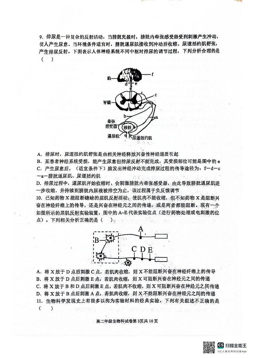 辽宁省大连市第八中学2025-2026学年高二上学期10月月考生物试题（扫描版，有答案）第3页