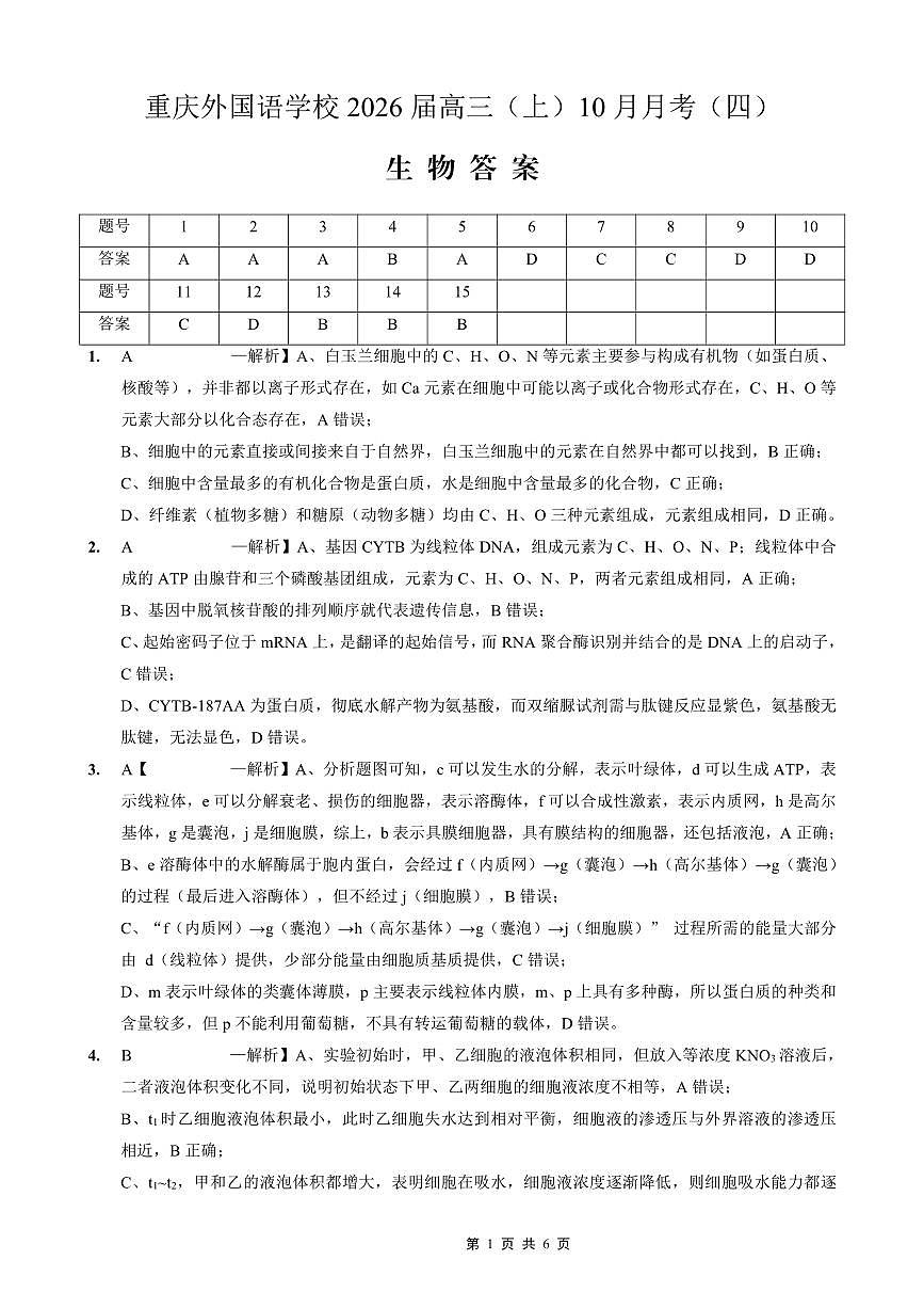 重庆实验外国语学校2025-2026学年度（上）高2026届10月月考（四）生物答案第1页