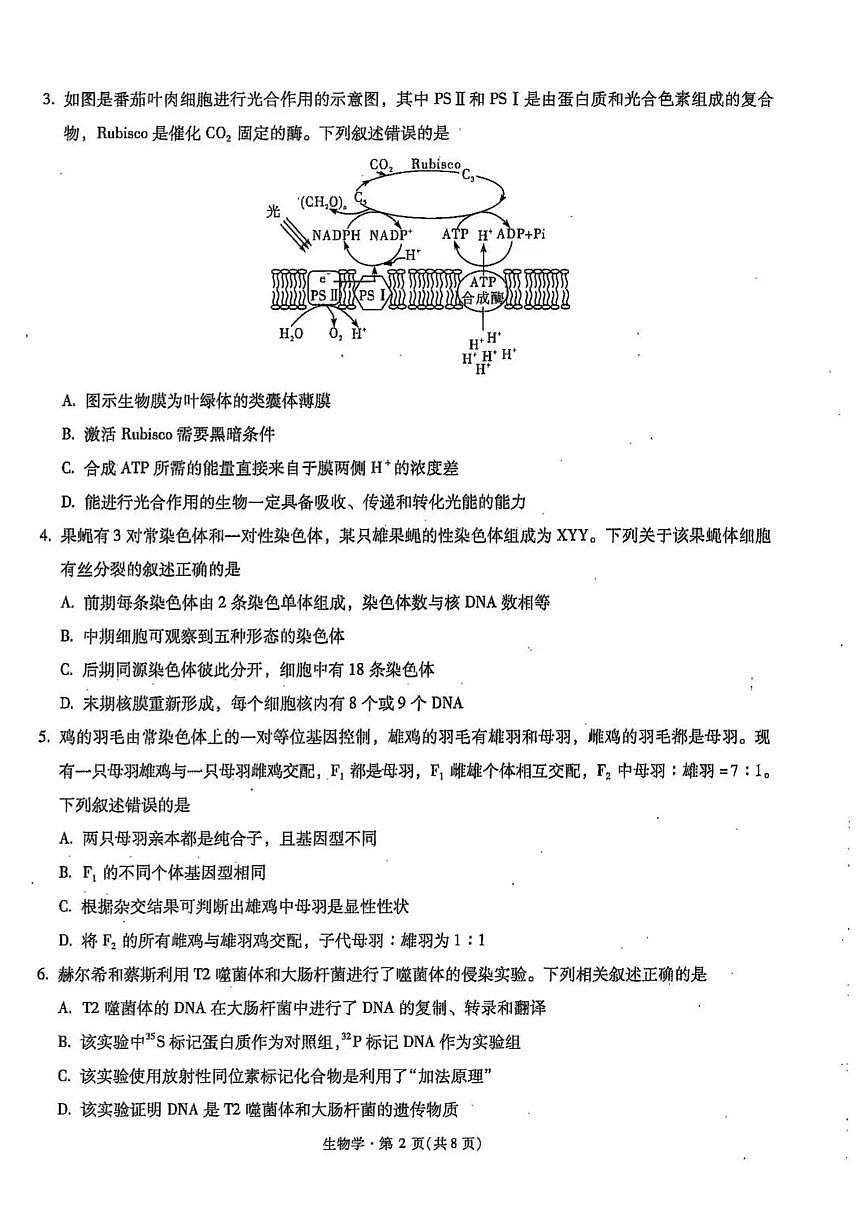 云南省昆明市第一中学2025-2026学年高三上学期第三次联考生物试卷（含答案）第2页
