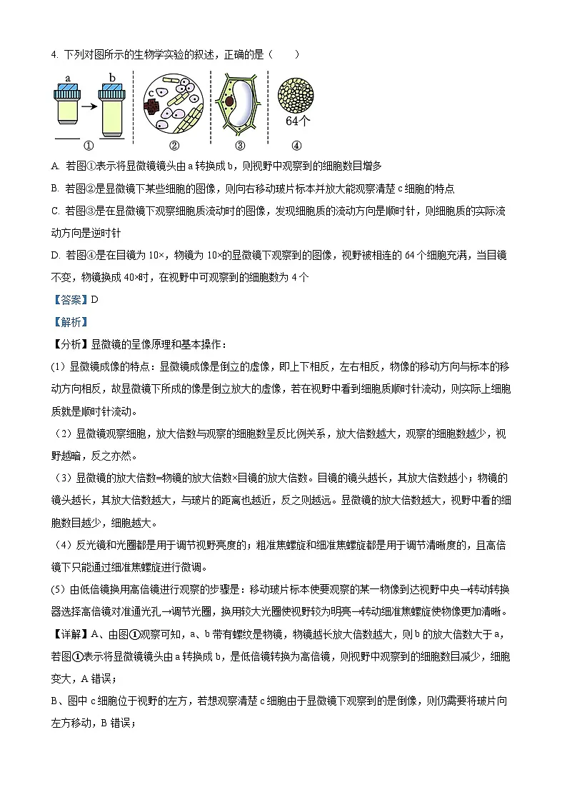 精品解析：辽宁省沈阳市第120中学2025-2026学年高一上学期第一次质量监测生物试题（解析版）第3页