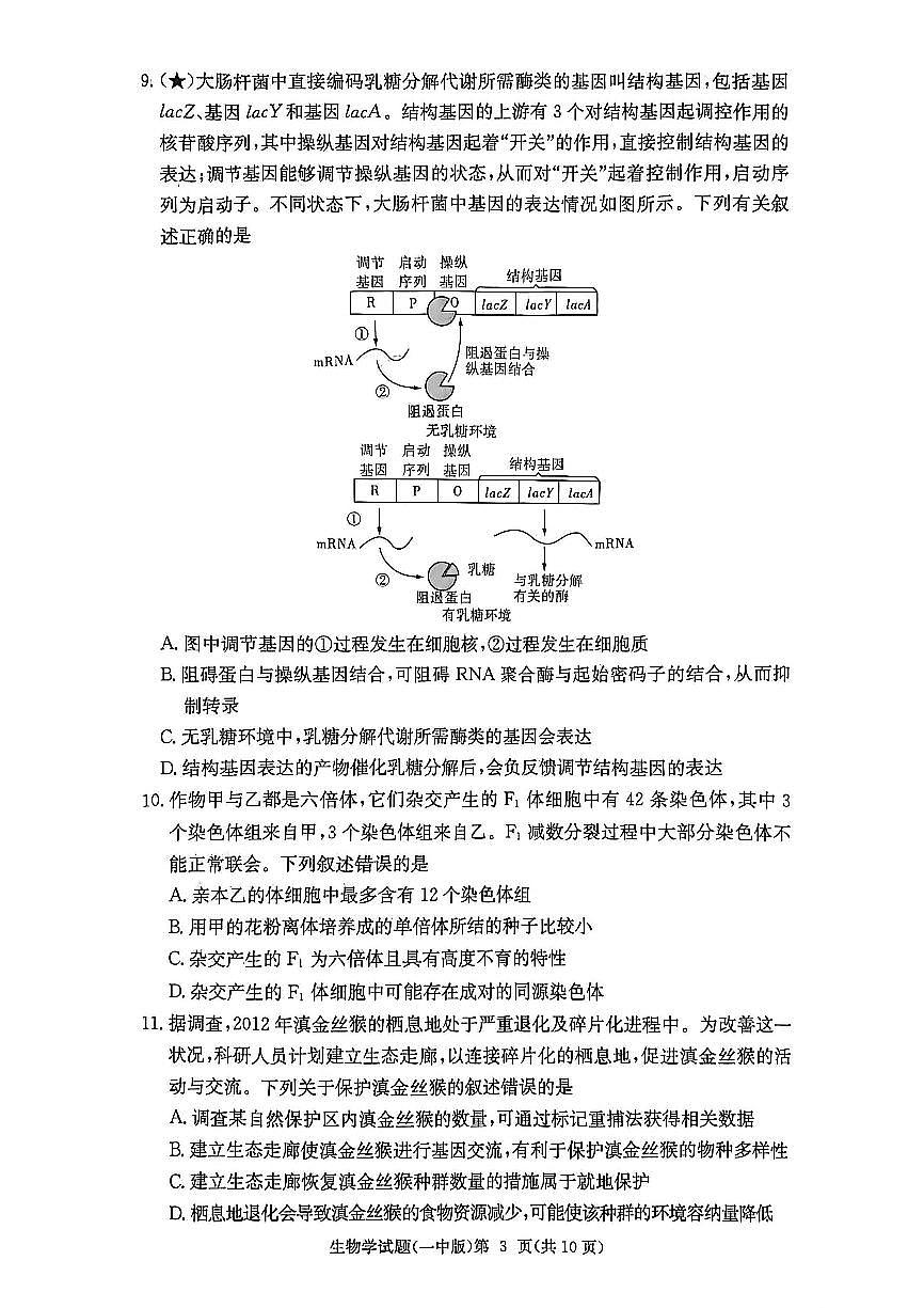湖南省长沙一中2026届高三上学期10月月考（三上学期）生物试题+答案第3页