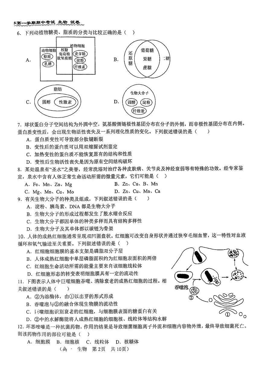 北京市第八十中学2025-2026学年高一上学期11月期中生物试题第2页