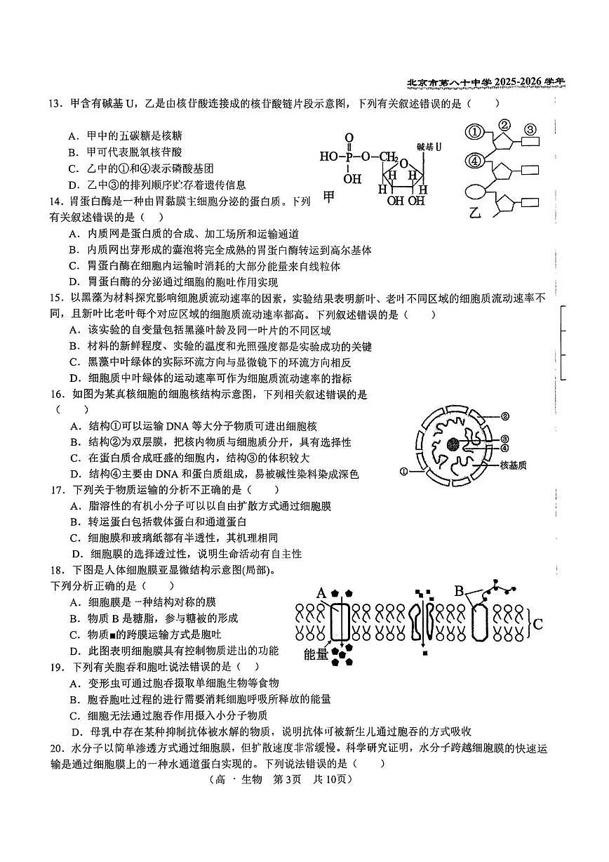 北京市第八十中学2025-2026学年高一上学期11月期中生物试题第3页