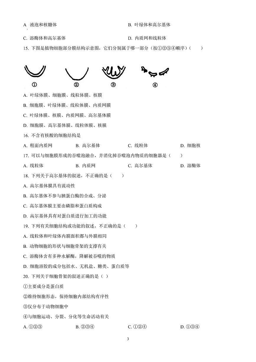 北京市第十九中学2024-2025学年高一上学期期中生物试题含答案第3页