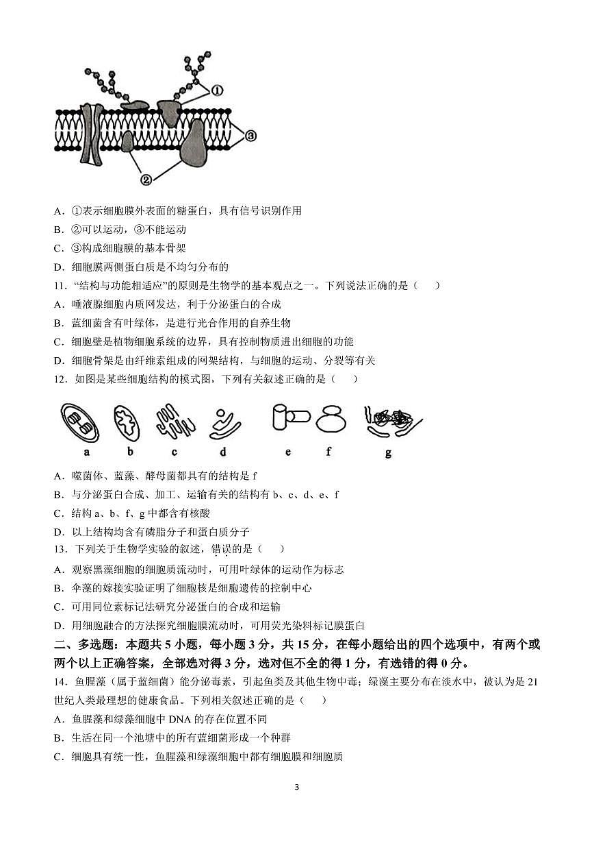 河北省保定市六校联盟2024-2025学年高一上学期期中考试生物试题（含答案）第3页
