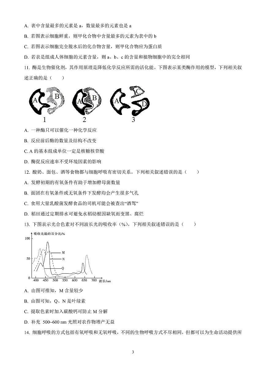 河北省衡水市冀州区河北冀州中学2024-2025学年高一上学期期中生物试题含答案第3页
