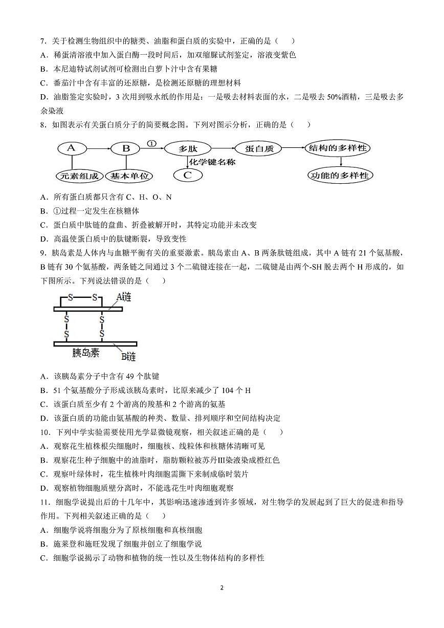 浙江省台州市台州十校联考2024-2025学年高一上学期期中考试生物试题含答案第2页