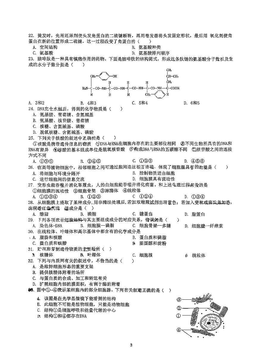 2025北京交大附中高一（上）期中生物试卷第3页
