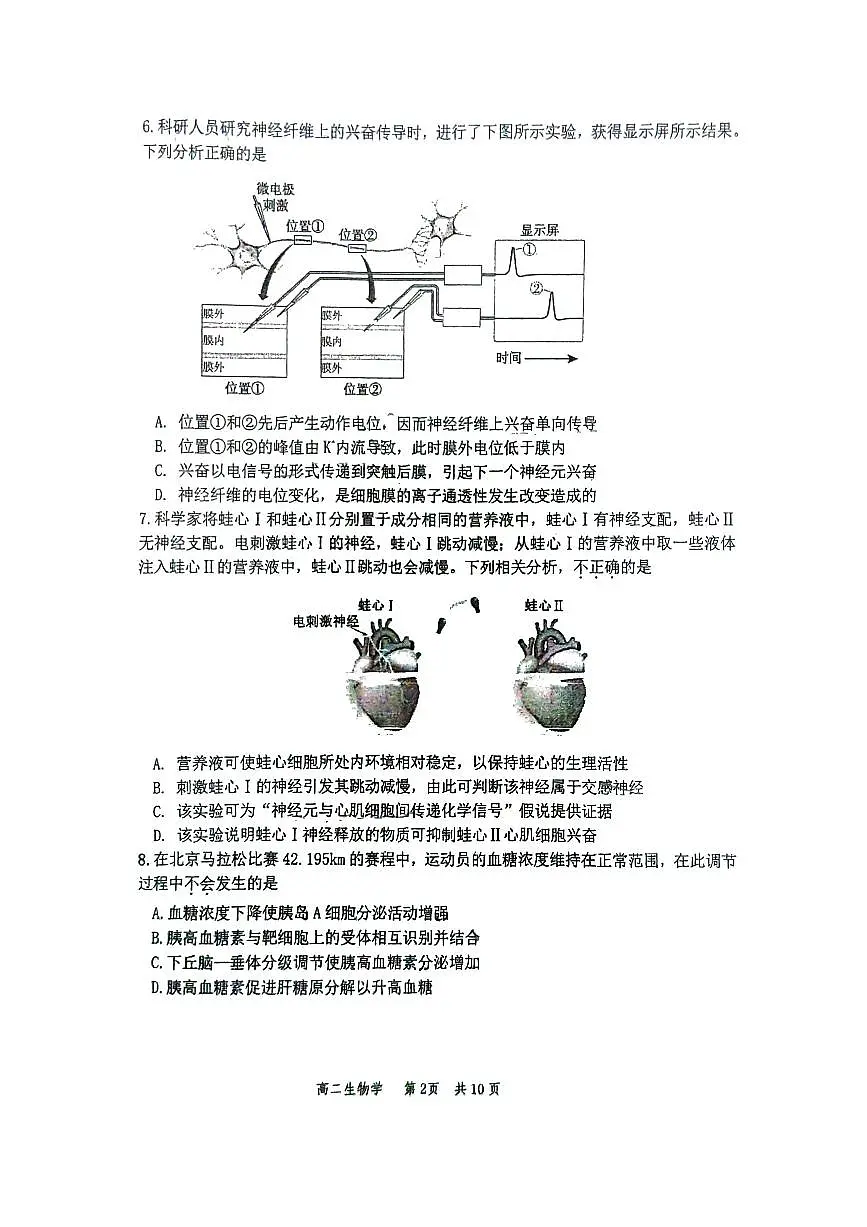 2025北京丰台高二（上）期中生物试卷第2页