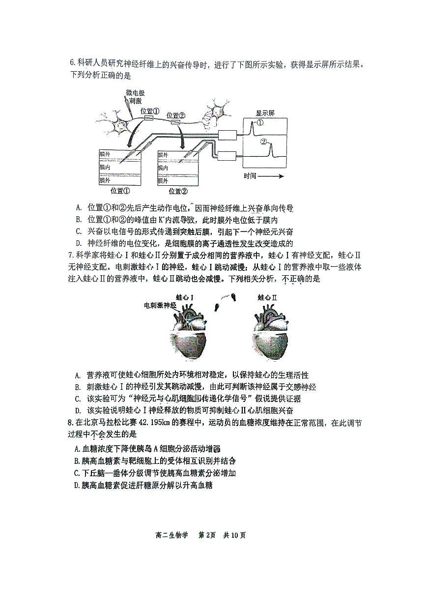 2025北京丰台高二（上）期中生物试卷第2页