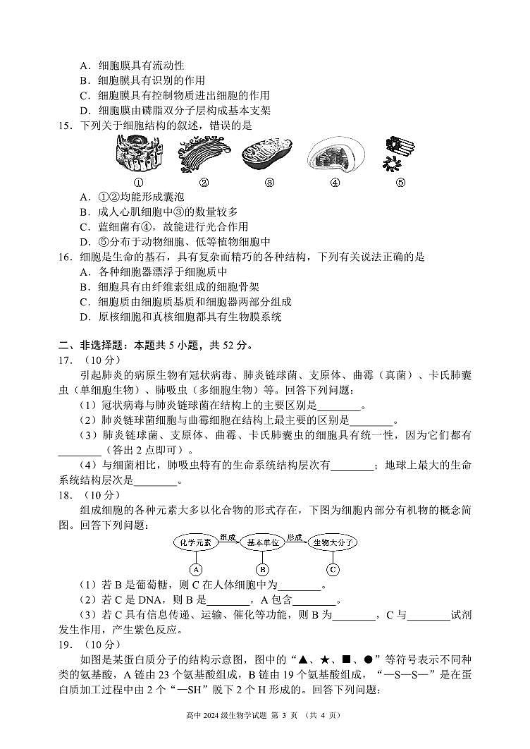 四川省成都市蓉城名校联盟2024-2025学年高一上学期期中考试生物试题 PDF版含答案第3页