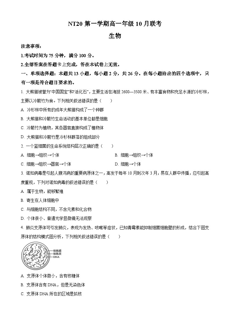 河北省NT20联考2025-2026学年高一上学期10月月考生物试题（原卷版）第1页