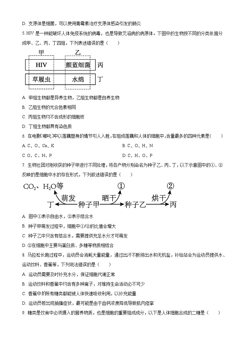 河北省NT20联考2025-2026学年高一上学期10月月考生物试题（原卷版）第2页