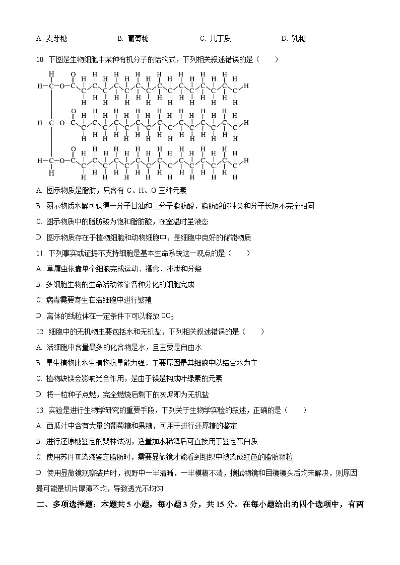 河北省NT20联考2025-2026学年高一上学期10月月考生物试题（原卷版）第3页