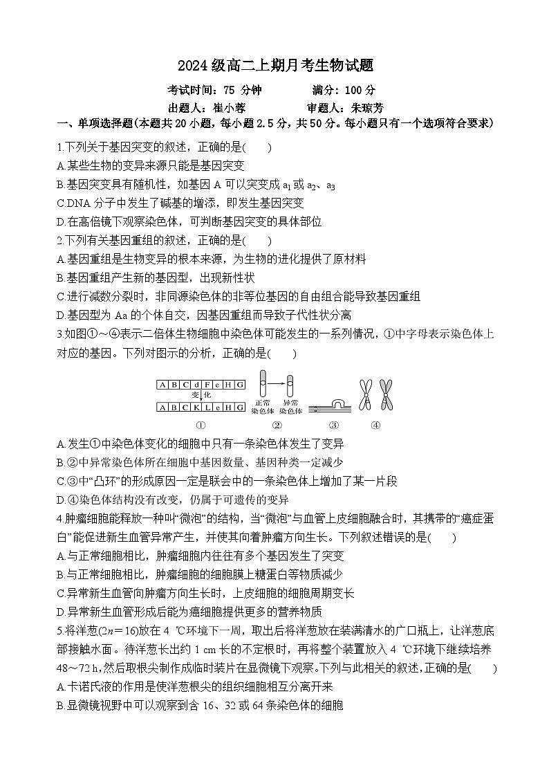 重庆市万州二中2025-2026学年高二上学期10月月考试题生物试卷第1页