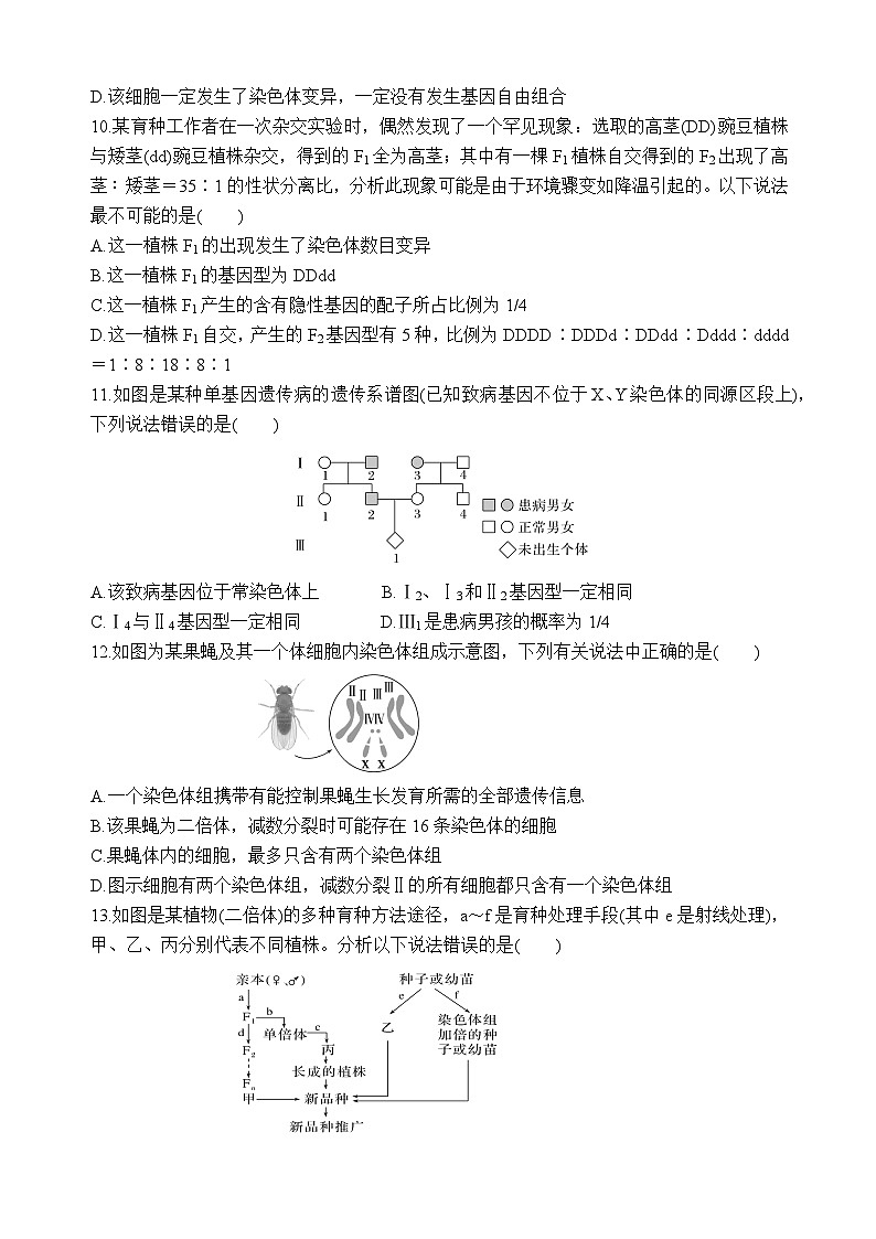 重庆市万州二中2025-2026学年高二上学期10月月考试题生物试卷第3页
