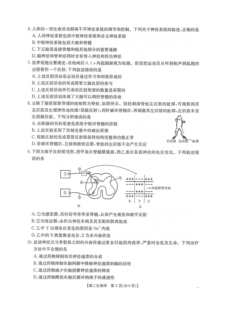 河北省邢台市卓越联盟2025-2026学年高二上学期10月月考生物试卷第2页