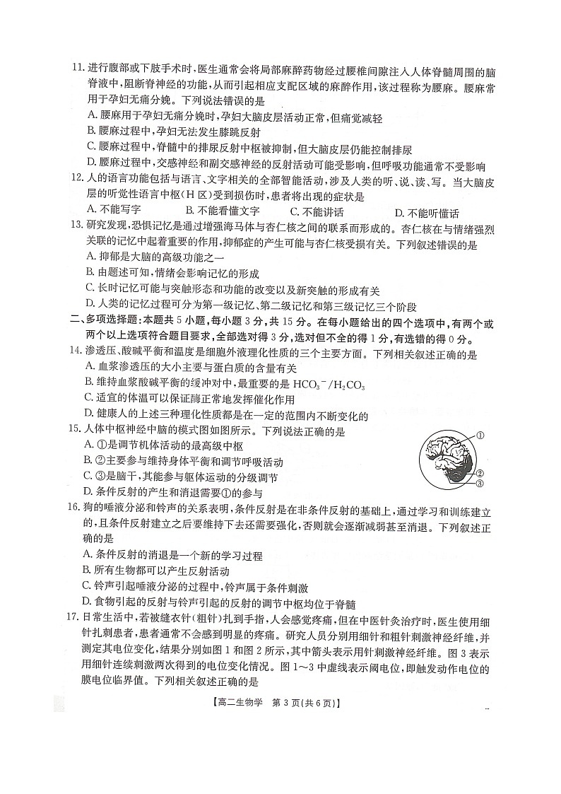 河北省邢台市卓越联盟2025-2026学年高二上学期10月月考生物试卷第3页