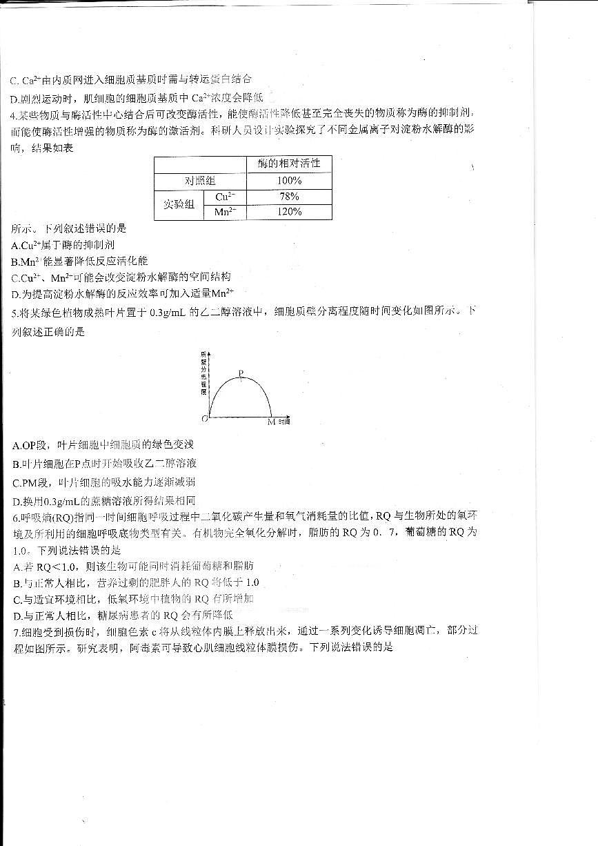 山东省2026届高三上学期11月适应性联考（一）生物试题+答案第2页