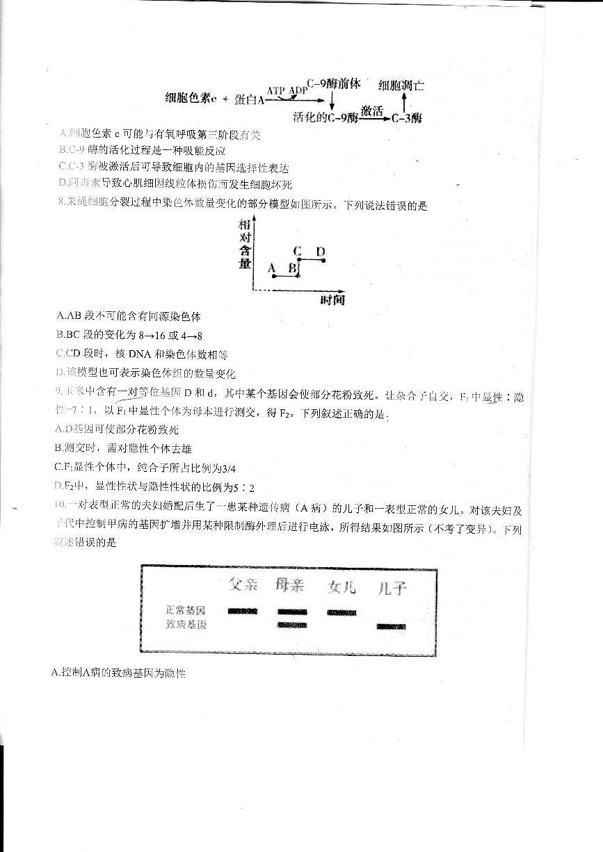 山东省2026届高三上学期11月适应性联考（一）生物试题+答案第3页