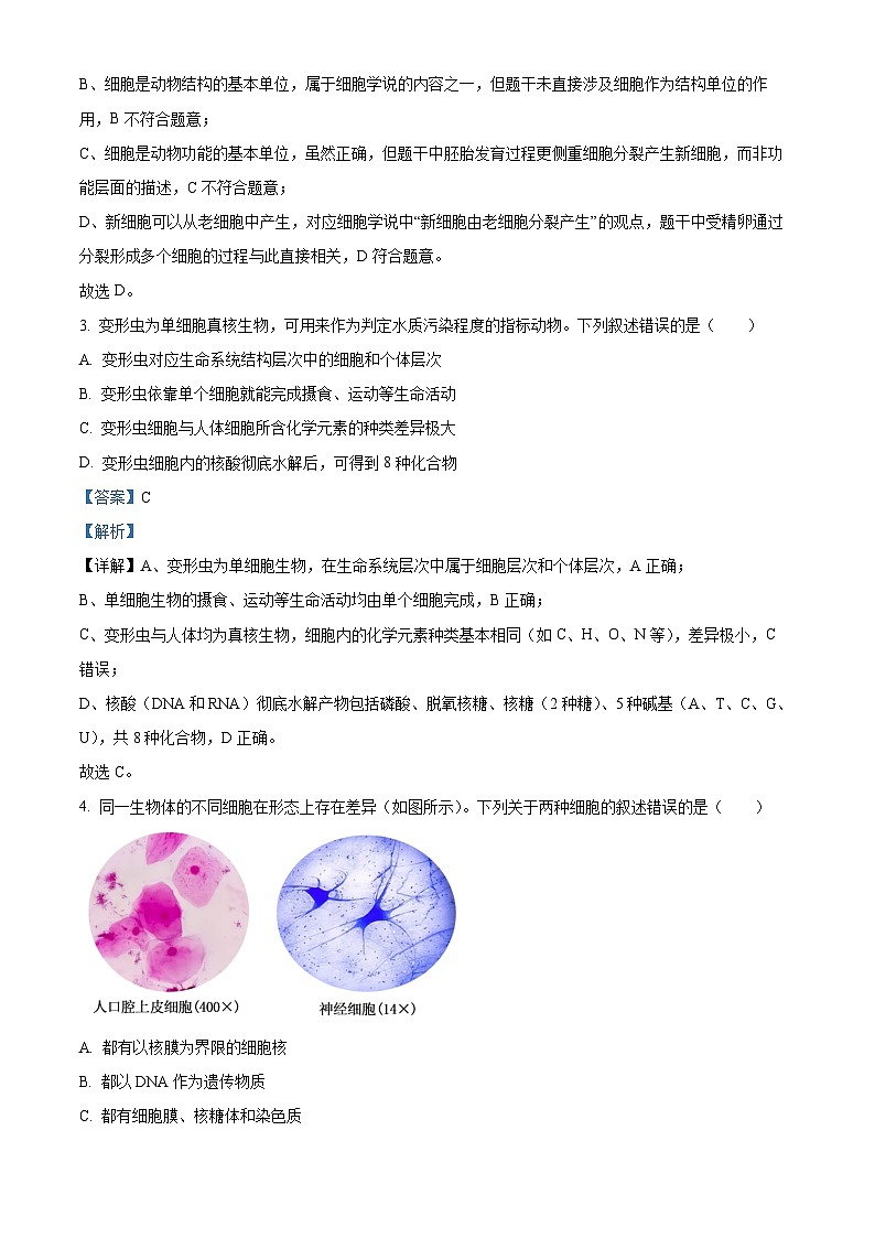 精品解析：河南省TOP二十校205—2026学年高一上学期10月联考生物试题（解析版）第2页