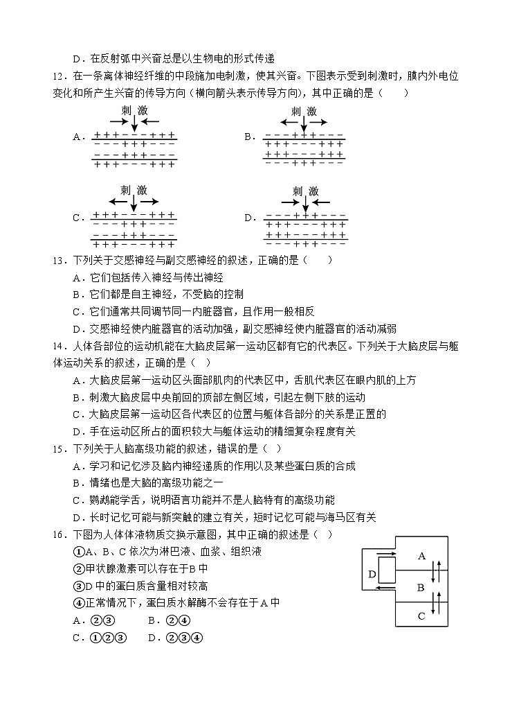 四川省遂宁市射洪中学2025-2026学年高二上学期10月月考试题生物试卷第3页