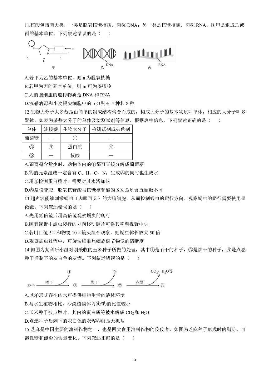 广东省2024—2025学年度高一第一学期期中考试联考生物试卷含答案第3页