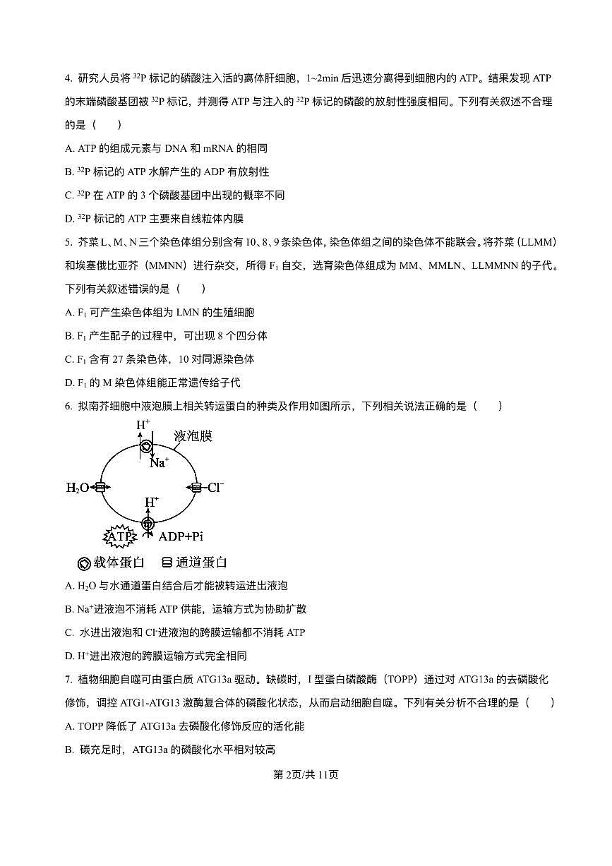 辽宁省县域重点高中2026届高三上学期11月期中（26-103C）生物试题+答案第2页