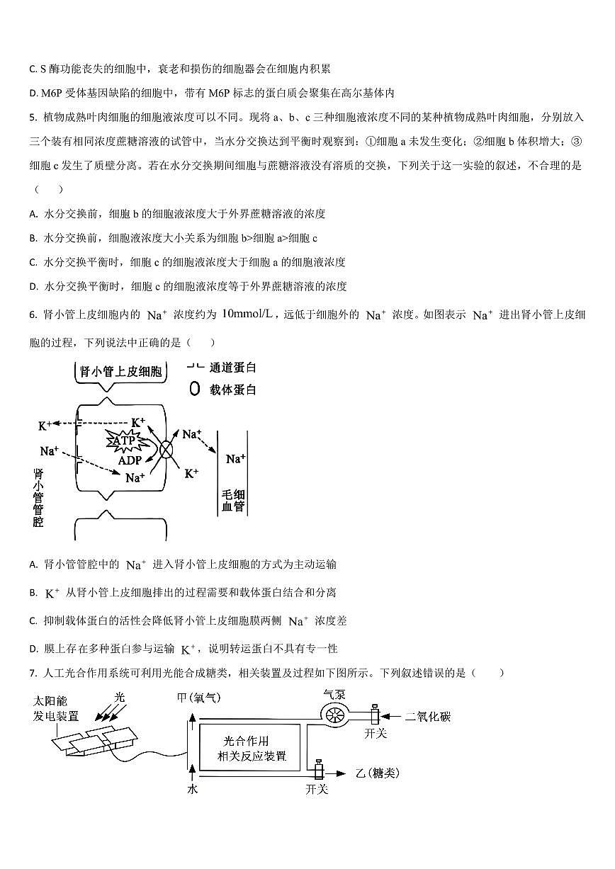 吉林省通化市梅河口五中2026届高三上学期10月期中考生物试题+答案第2页