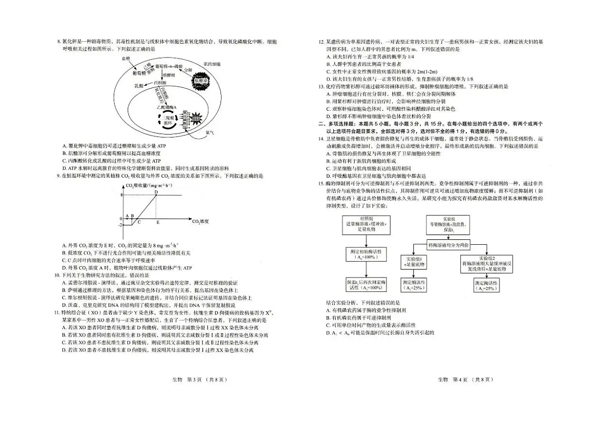 河北省保定市2026届高三上学期11月期中生物试题+答案第2页