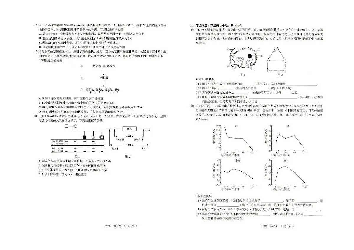河北省保定市2026届高三上学期11月期中生物试题+答案第3页