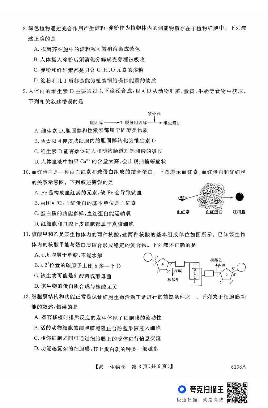 河南省新未来大联考2025-2026学年高一上学期10月末质量检测生物试题 新未来高一生物试题第3页