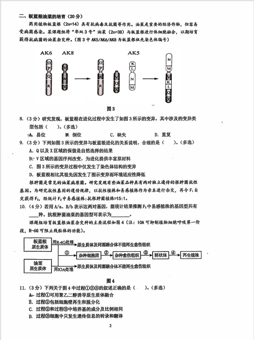 上海市七宝中学2025-2026学年高三上学期开学考试生物试题（月考）第2页