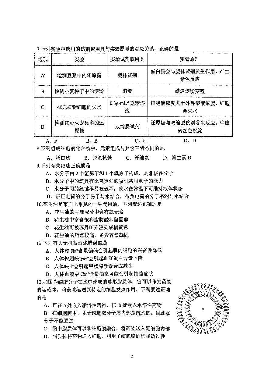 江苏省镇江市丹阳高级中学（重点班）2025-2026学年高一上学期10+月阶段测试生物试题（月考）第2页