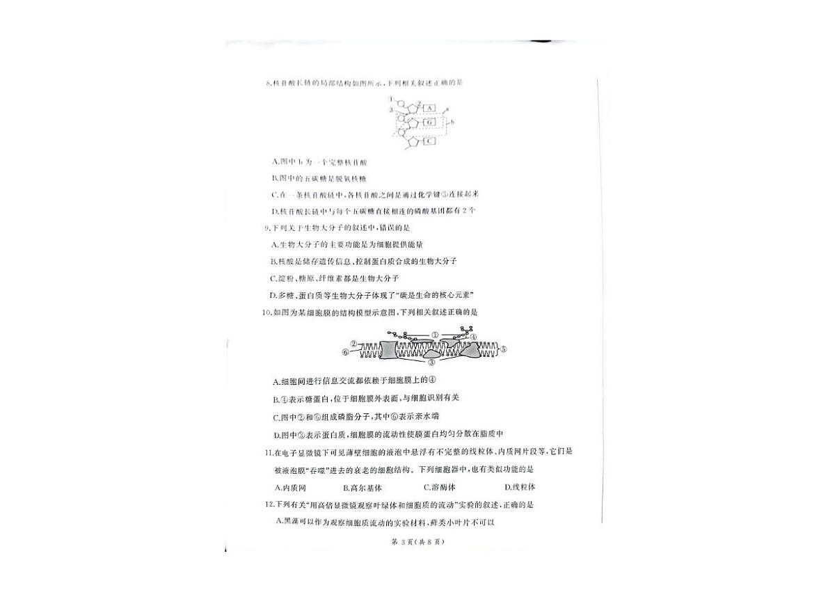 甘肃省靖远县第一中学2025-2026学年高一上学期期中考试生物试卷第3页