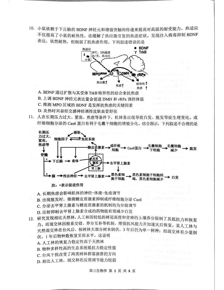 广东省深圳市龙岗区2025-2026学年高三上学期11月期中生物试题第3页