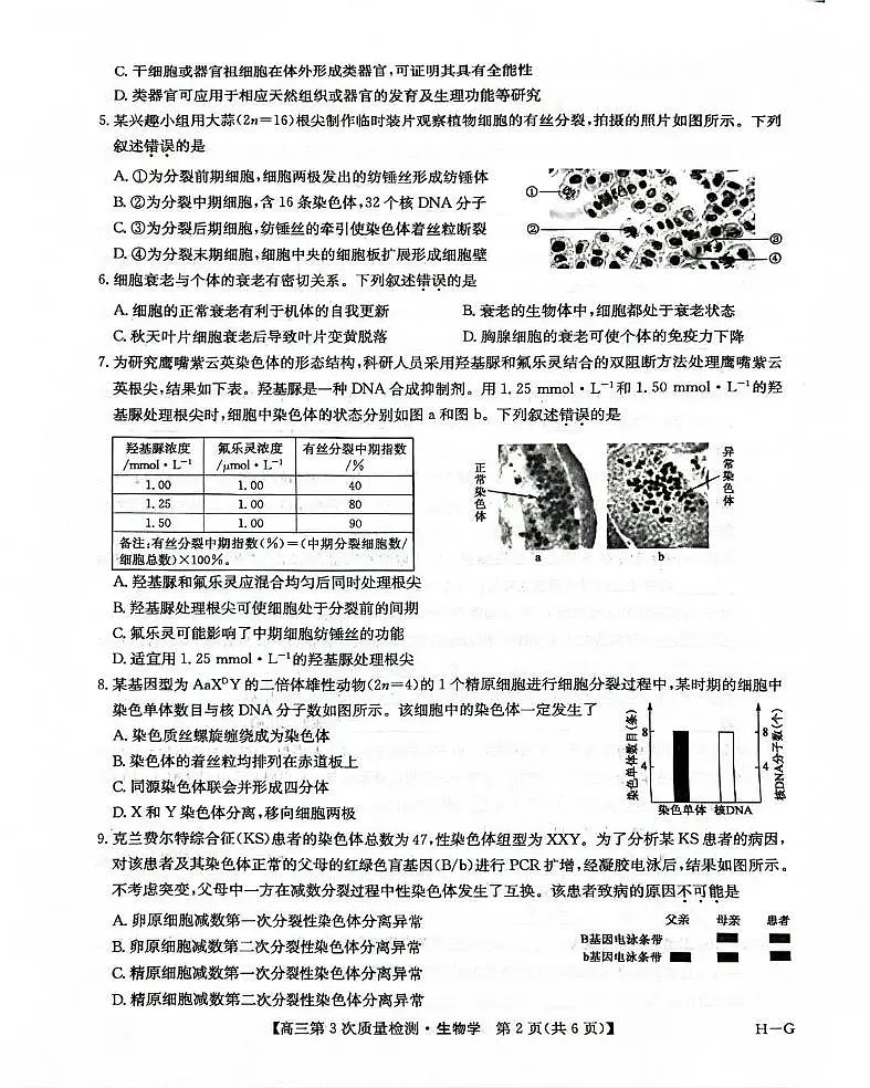 九师联盟2026届高三上学期11月第三上学期次质量检测生物试题+答案（H-G）第2页