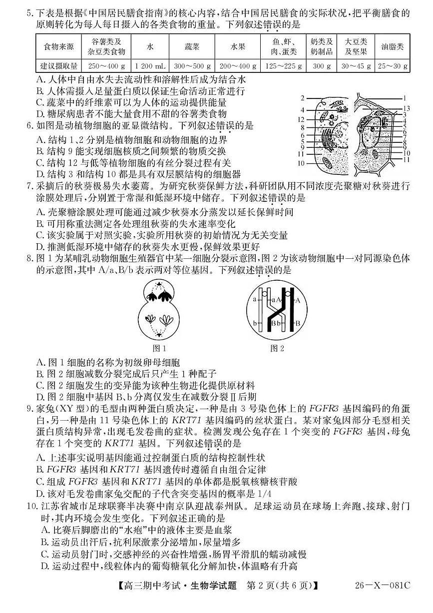广东省部分学校2026届高三上学期11月期中考（26-X-081C）生物试题+答案第2页