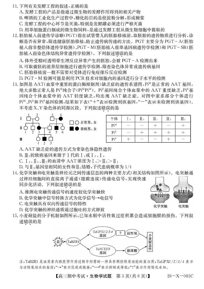 广东省部分学校2026届高三上学期11月期中考（26-X-081C）生物试题+答案第3页