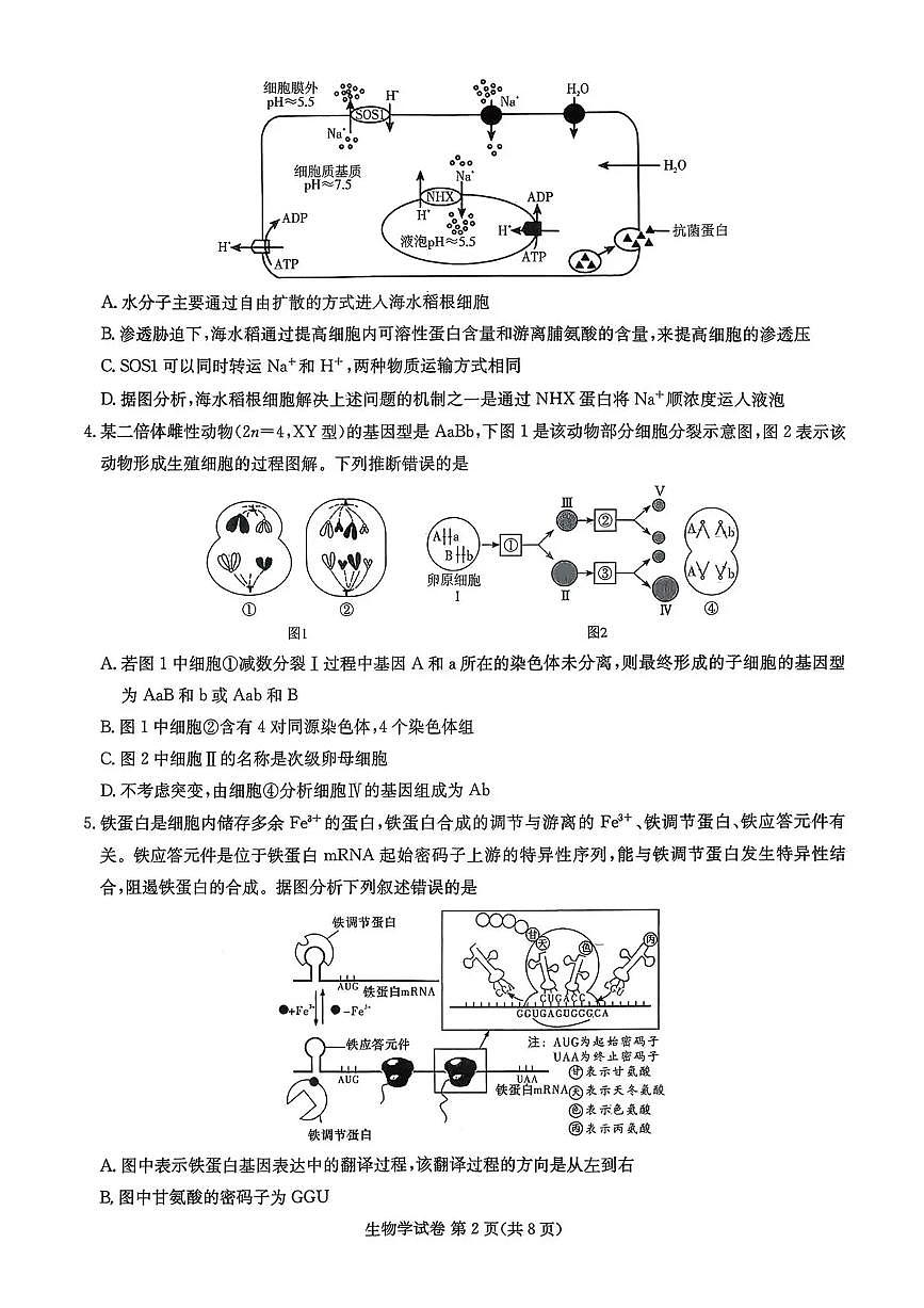 湖南省湘东教学联盟2026届高三上学期11月联考生物试题+答案第2页