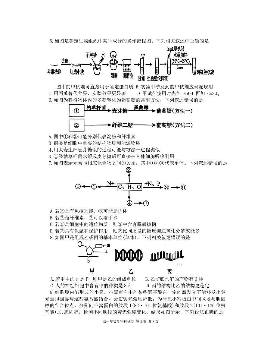 辽宁省大连市第24中学2025-2026学年第一学期高一生物期中试卷（含答案）第2页