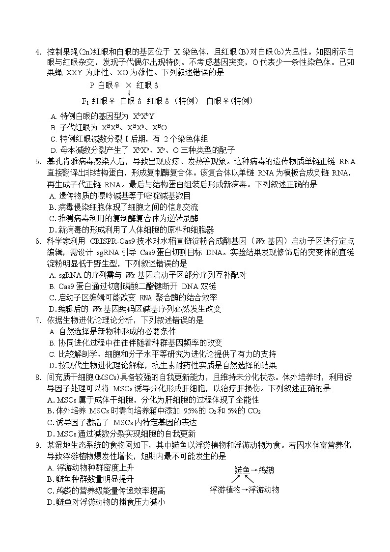 广东省深圳市2026届高三上学期高考第一次模拟考试生物试卷第2页