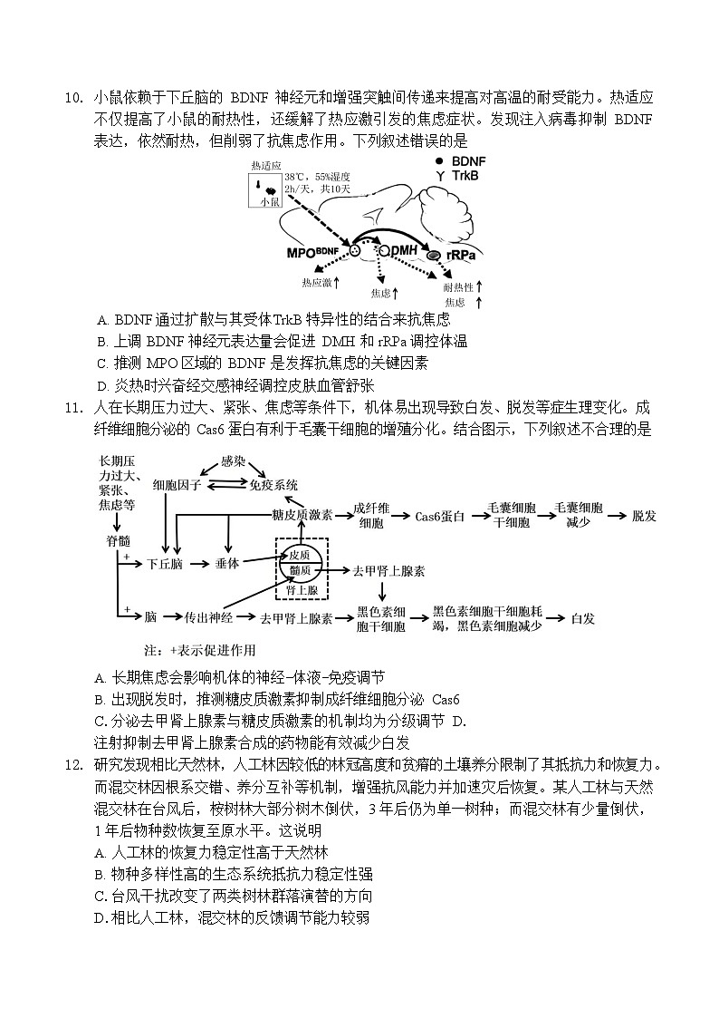 广东省深圳市2026届高三上学期高考第一次模拟考试生物试卷第3页