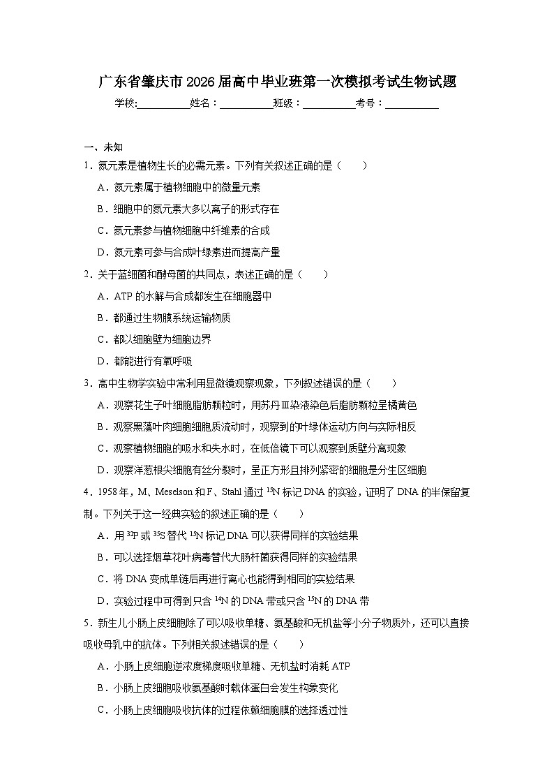 2025-2026学年广东省肇庆市高中毕业班第一次模拟考试生物试题（无答案）第1页