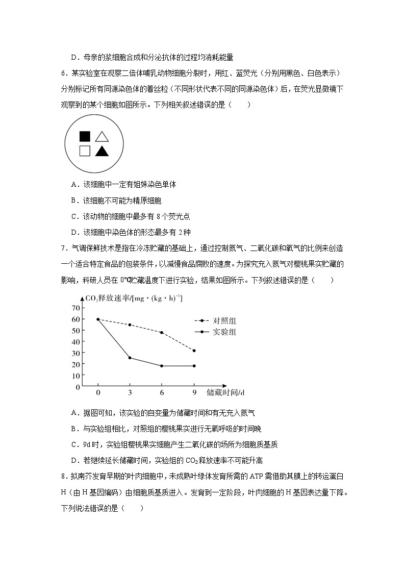2025-2026学年广东省肇庆市高中毕业班第一次模拟考试生物试题（无答案）第2页