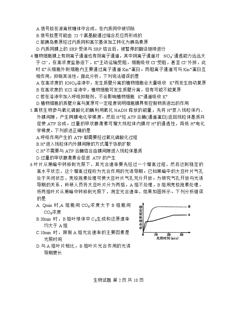 山东省实验中学2025-2026学年高三上学期（11月）第二次诊断性考试生物试题（含答案）第2页