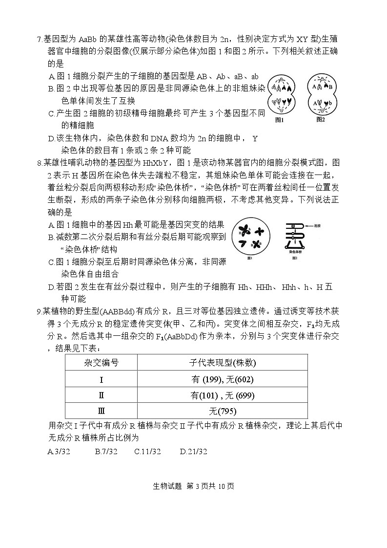 山东省实验中学2025-2026学年高三上学期（11月）第二次诊断性考试生物试题（含答案）第3页